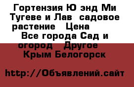 Гортензия Ю энд Ми Тугеве и Лав, садовое растение › Цена ­ 550 - Все города Сад и огород » Другое   . Крым,Белогорск